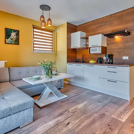 Apartamento 9 Izerski Obok Sky Walk Z Ogólnodostępną Sauną - 5d *